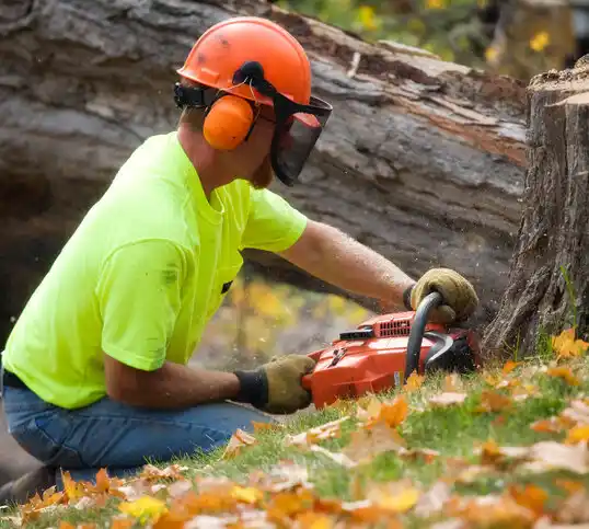 tree services Leisure Village